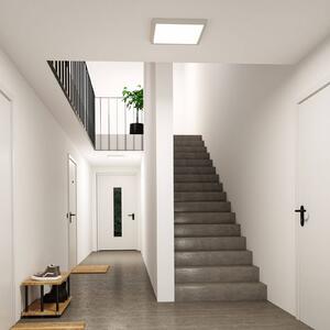 Paulmann Panel LED Abia 2, biały / opal, salon / jadalnia, tworzywo sztuczne, nowoczesny