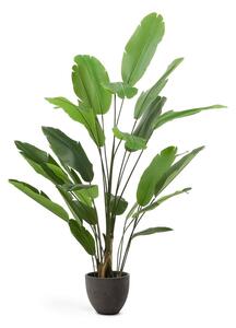 Sztuczny bananowiec (wysokość 210 cm) – Kave Home
