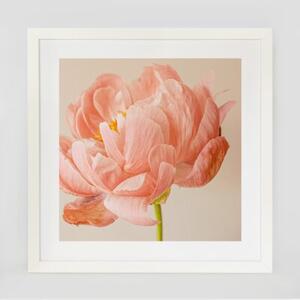 Biała ramka na zdjęcia w rozmiarze 40x40 cm FRAMAI®