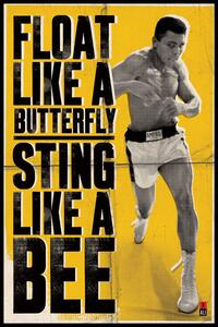 Plakat, Obraz Muhammad Ali - float like a butterfly, (61 x 91.5 cm)