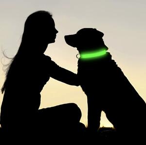Zielona obroża LED dla psa/kota DUKE - różne rozmiary Wielkość: L