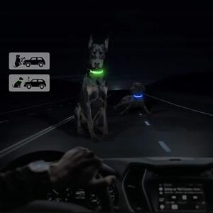 Zielona obroża LED dla psa/kota DUKE - różne rozmiary Wielkość: M