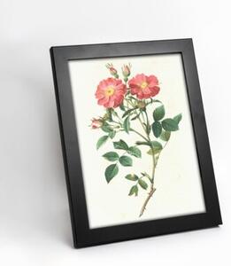 Czarna ramka na zdjęcia w rozmiarze 18x24 cm FRAMAI®