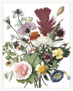 Tapeta Wild Flowers