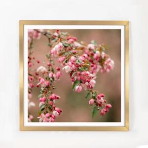 Złota ramka na zdjęcia w rozmiarze 50x50 cm FRAMAI®