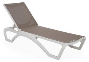 Leżaki HOME & GARDEN Monako 985424 Biało-brązowy