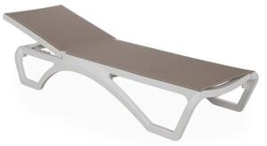 Leżaki HOME & GARDEN Monako 985424 Biało-brązowy
