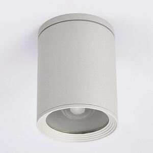 Lucande - Minna Ogrodowe Reflektor Sufitowy Silver