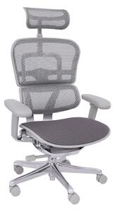 Ergonomiczny fotel biurowy Ergohuman 2 Elite GT Grey