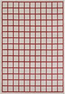 Czerwony/beżowy dywan 160x230 cm Picnic – ESTE