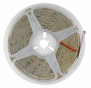 Taśma LED 300 10.8W/m 6500K 500lm/m 24V IP63 5m ściemnialna wodoodporna Ecolight