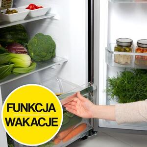 Lodówka AMICA FY5139.3DFBXI Side by Side No frost 177cm Czarna Podajnik wody Kostkarka