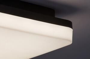 Rabalux 7250 zewnętrzne / łazienkowe sufitowe oświetlenie LED Pernik