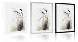 Plakat minimalistyczna sucha trawa