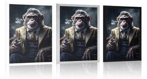 Plakat z szympansem-gangsterem zwierzęcym