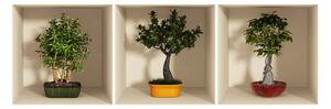 Zestaw 3 naklejek 3D Ambiance Bonsai Trees