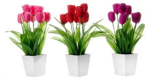 Zestaw 3 kwiatków dekoracyjnych w doniczkach Casa Selección Tulip