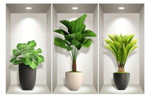 Komplet 3 naklejek ściennych 3D Ambiance Tropical Plants