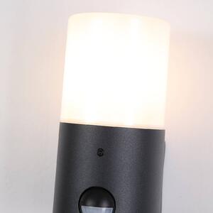 Searchlight Kinkiet zewnętrzny Cannes, wysokość 17 cm, czarno-biały, 1-punktowa, z Cannes, czarny, aluminium, nowoczesny