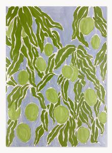 Plakat Raw Mango