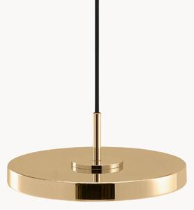 Mała lampa wisząca LED Asteria Micro