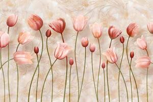 Tapeta stare różowe tulipany