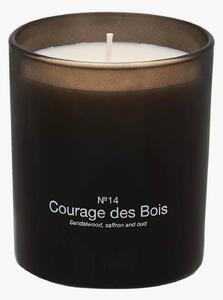 Świeca zapachowa Courage Des Bois (drzewo sandałowe, szafran & agar)