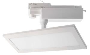 Deko-Light Panel LED TRACK LIGHT, biały, 3-fazowy, 4000 K, wł