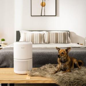 Oczyszczacz powietrza LEVOIT Core 300S Wi‑Fi