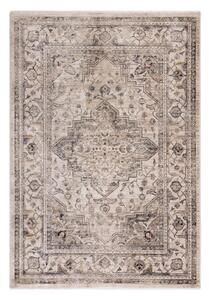 Beżowy dywan 240x330 cm Sovereign – Asiatic Carpets