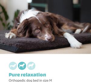 Brunolie Nala, legowisko dla psa, łóżko, możliwość prania, ortopedyczne, antypoślizgowe, oddychające, pianka komfortowa, rozmiar M (100 x 5 x 70 cm)