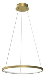 Milagro LED Żyrandol na lince HOOP LED/27W/230V śr. 50 cm 4000K złoty MI2657