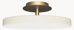 Lampa sufitowa LED z funkcją przyciemniania Asteria Up Plus Mini