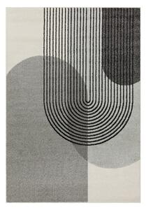 Dywan szary 170x120 cm Muse - Asiatic Carpets