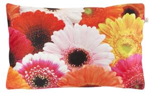 Dekoracyjna poszewka na poduszkę SAMARA GERBERA 30x50 cm, kolorowy