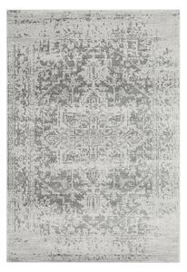 Szary dywan 80x150 cm Nova – Asiatic Carpets