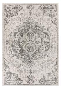 Szary/kremowy dywan 160x230 cm Nova – Asiatic Carpets