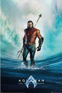 Plakat, Obraz Aquaman and the Lost Kingdom - Tempest, (61 x 91.5 cm)