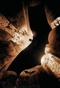 Plakat, Obraz The Dark Knight Trilogy - Bat Wings