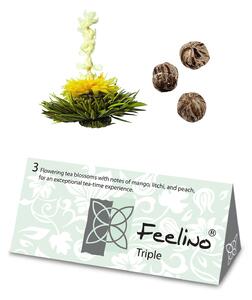 Feelino Herbata kwitnąca, 6 różnych odmian herbaty, pakowana pojedynczo