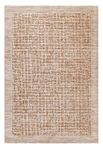Beżowy dywan 120x160 cm Anders Beige Natural – Asiatic Carpets