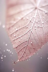 Fotografia Rosy Leaf, Treechild