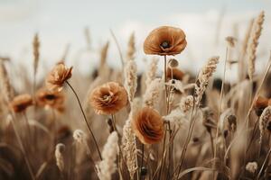 Fotografia Orange Poppy Field, Treechild