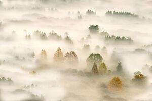 Fotografia Autumn dream, Roberto Marini