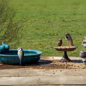 Poidełko dla ptaków karmnik z terakoty
