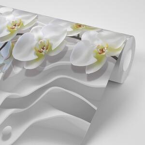 Tapeta orchidea na abstrakcyjnym tle