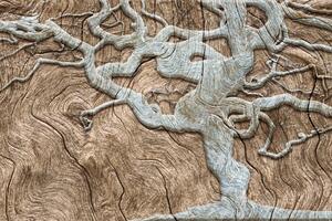 Tapeta abstrakcyjne drzewo na drewnie w kolorze beżowym