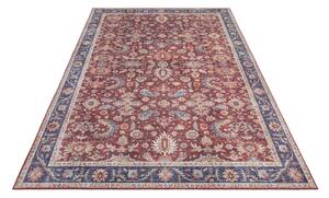Bordowy dywan Nouristan Vivana, 80x150 cm