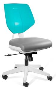 Obrotowe krzesło specjalistyczne Kaden Low Grey/Green