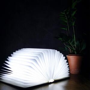 Jasnobrązowa lampa stołowa LED z drewna klonowego w kształcie księgi Gingko Standard